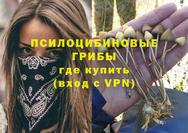 а пвп мука Армянск