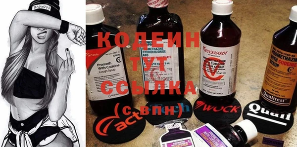 дмт Арсеньев