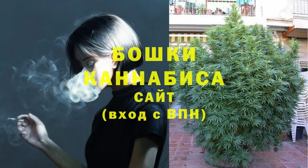 дмт Арсеньев