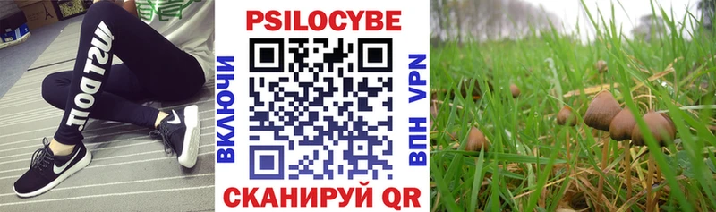Псилоцибиновые грибы ЛСД  Заречный 