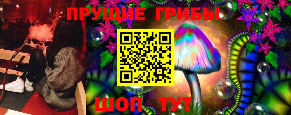 Псилоцибиновые грибы GOLDEN TEACHER Заречный