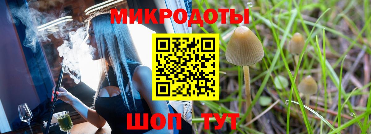 как найти наркотики  Вход с VPN  Галлюциногенные грибы MAGIC MUSHROOMS  Заречный  Псилоцибиновые грибы ЛСД 